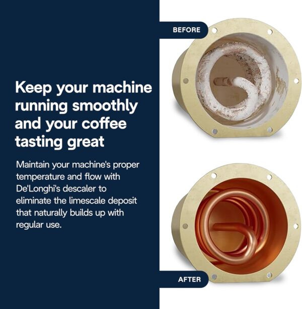 DeLonghi EcoDecalk DLSC500 - 500ml